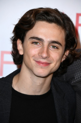 Timothée Chalamet - 18th Annual AFI Awards in Beverly Hills 01/05/2018