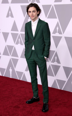 Timothée Chalamet - 90th Annual Academy Awards Nominee Luncheon in LA 02/05/2018