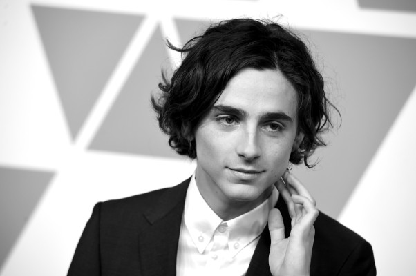 Timothée Chalamet - 90th Annual Academy Awards Nominee Luncheon in LA 02/05/2018