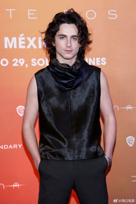 Timothée Chalamet - &#039;Dune: Part Two&#039; Photocall in Mexico 02/05/2024