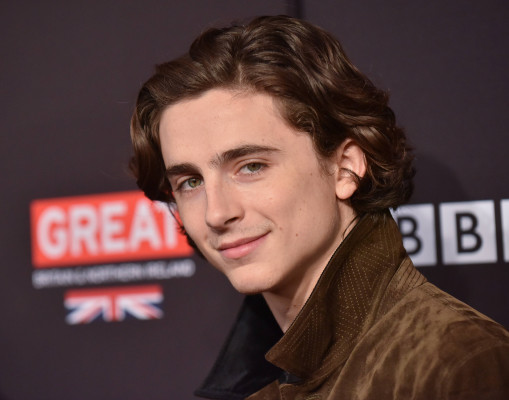 Timothée Chalamet - BAFTA Los Angeles Tea Party in Beverly Hills 01/06/2018