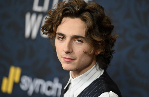 Timothée Chalamet - &#039;Little Women&#039; New York Premiere 12/07/2019
