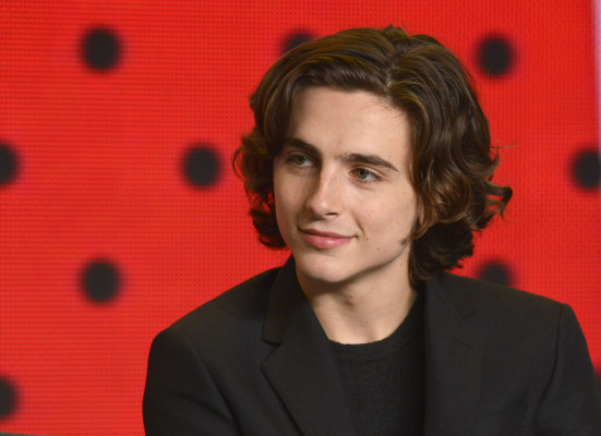 Timothée Chalamet - &#039;Call Me by Your Name&#039; TIFF Press Conference 09/08/2017