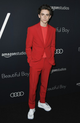 Timothée Chalamet - &#039;Beautiful Boy&#039; Los Angeles Premiere 10/08/2018