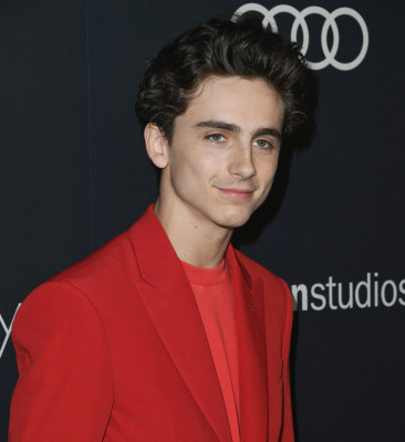 Timothée Chalamet - &#039;Beautiful Boy&#039; Los Angeles Premiere 10/08/2018