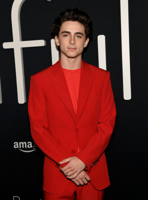 Timothée Chalamet - &#039;Beautiful Boy&#039; Los Angeles Premiere 10/08/2018