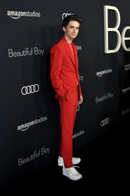 Timothée Chalamet - &#039;Beautiful Boy&#039; Los Angeles Premiere 10/08/2018