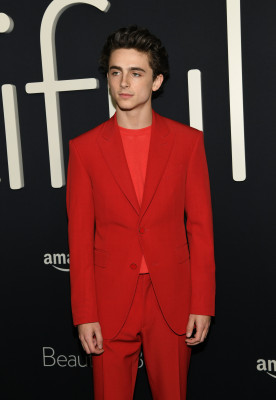 Timothée Chalamet - &#039;Beautiful Boy&#039; Los Angeles Premiere 10/08/2018