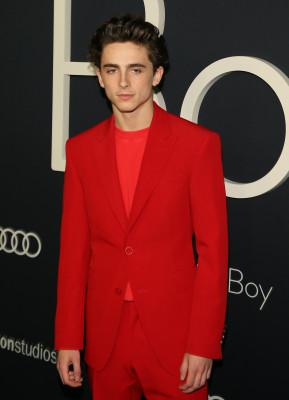 Timothée Chalamet - &#039;Beautiful Boy&#039; Los Angeles Premiere 10/08/2018