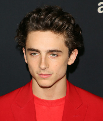 Timothée Chalamet - &#039;Beautiful Boy&#039; Los Angeles Premiere 10/08/2018
