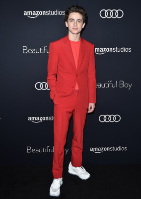 Timothée Chalamet - &#039;Beautiful Boy&#039; Los Angeles Premiere 10/08/2018