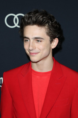 Timothée Chalamet - &#039;Beautiful Boy&#039; Los Angeles Premiere 10/08/2018