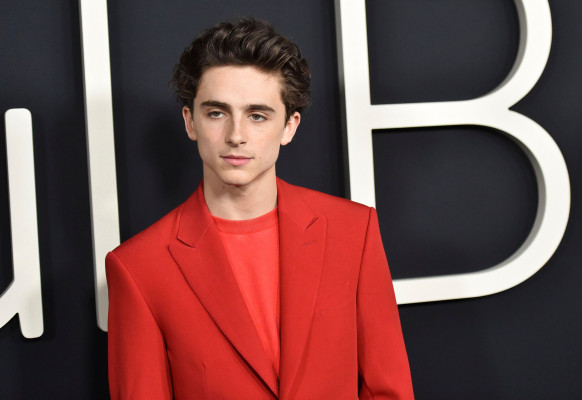 Timothée Chalamet - &#039;Beautiful Boy&#039; Los Angeles Premiere 10/08/2018