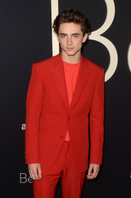 Timothée Chalamet - &#039;Beautiful Boy&#039; Los Angeles Premiere 10/08/2018