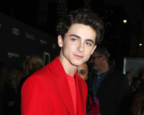 Timothée Chalamet - &#039;Beautiful Boy&#039; Los Angeles Premiere 10/08/2018