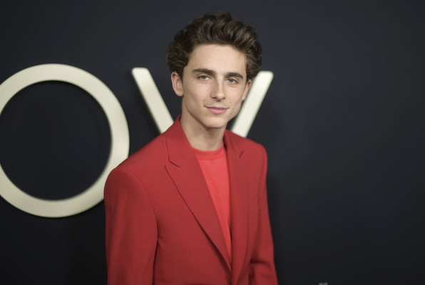 Timothée Chalamet - &#039;Beautiful Boy&#039; Los Angeles Premiere 10/08/2018