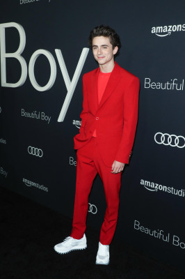 Timothée Chalamet - &#039;Beautiful Boy&#039; Los Angeles Premiere 10/08/2018