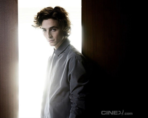Timothée Chalamet - &#039;The King&#039; Press Conference at 24th BIFF 10/08/2019