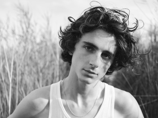 Timothée Chalamet by Hedi Slimane for Document (Villa Kerouac, August 2020)