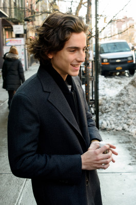 Timothée Chalamet - Bowery Hotel in New York 01/09/2018