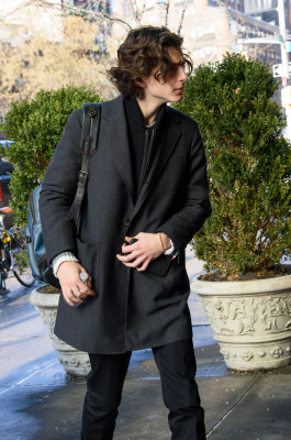 Timothée Chalamet - Bowery Hotel in New York 01/09/2018