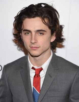 Timothée Chalamet - The National Board Of Review Awards Gala in NY 01/09/2018