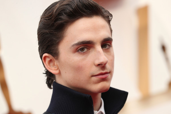 Timothée Chalamet - 92nd Annual Academy Awards in Hollywood 02/09/2020