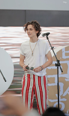 Timothée Chalamet - &#039;The King&#039; Premiere at 24th BIFF 10/09/2019
