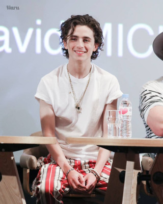 Timothée Chalamet - &#039;The King&#039; Premiere at 24th BIFF 10/09/2019