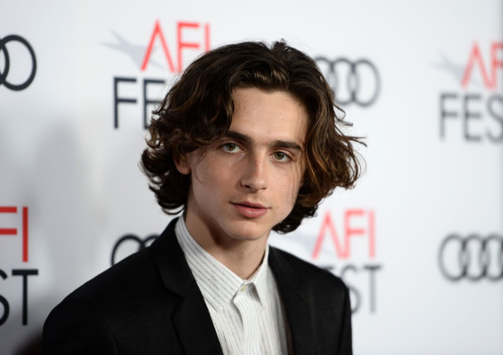 Timothée Chalamet - &#039;Call Me by Your Name&#039; Premiere at AFI Fest in LA 11/10/2017