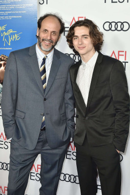 Timothée Chalamet - &#039;Call Me by Your Name&#039; Premiere at AFI Fest in LA 11/10/2017