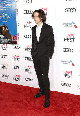 Timothée Chalamet - &#039;Call Me by Your Name&#039; Premiere at AFI Fest in LA 11/10/2017