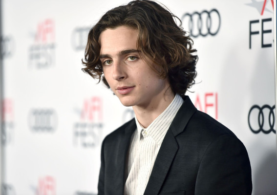 Timothée Chalamet - &#039;Call Me by Your Name&#039; Premiere at AFI Fest in LA 11/10/2017