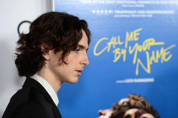 Timothée Chalamet - &#039;Call Me by Your Name&#039; Premiere at AFI Fest in LA 11/10/2017