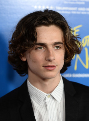 Timothée Chalamet - &#039;Call Me by Your Name&#039; Premiere at AFI Fest in LA 11/10/2017