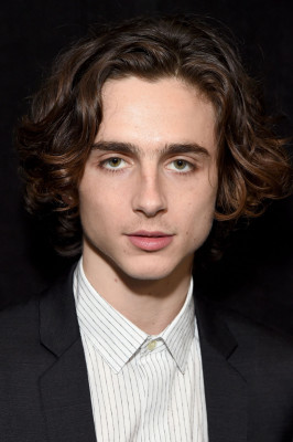 Timothée Chalamet - &#039;Call Me by Your Name&#039; Premiere at AFI Fest in LA 11/10/2017