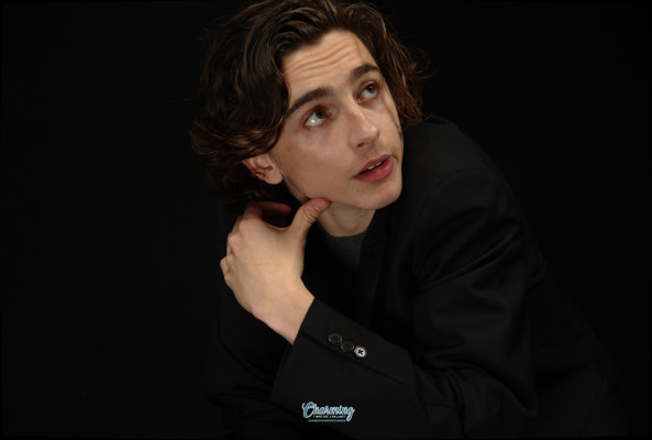 Timothée Chalamet by Kirk McCoy for LA Times 11/10/2017