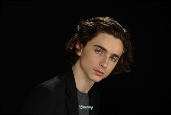 Timothée Chalamet by Kirk McCoy for LA Times 11/10/2017