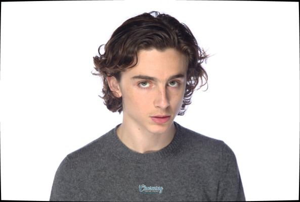 Timothée Chalamet by Kirk McCoy for LA Times 11/10/2017
