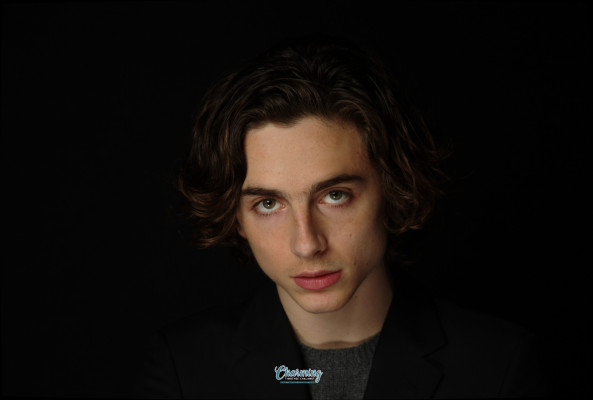 Timothée Chalamet by Kirk McCoy for LA Times 11/10/2017