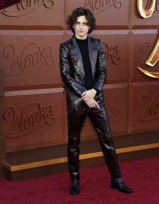 Timothée Chalamet - &#039;Wonka&#039; Los Angeles Premiere 12/10/2023