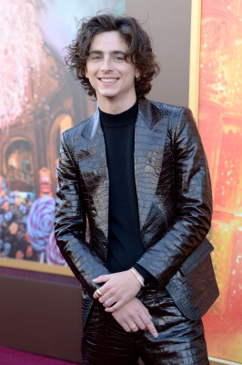 Timothée Chalamet - &#039;Wonka&#039; Los Angeles Premiere 12/10/2023