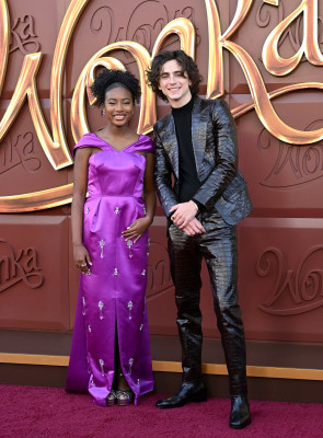 Timothée Chalamet - &#039;Wonka&#039; Los Angeles Premiere 12/10/2023