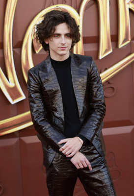 Timothée Chalamet - &#039;Wonka&#039; Los Angeles Premiere 12/10/2023