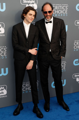 Timothée Chalamet - 23rd Annual Critics&#039; Choice Awards in Santa Monica 01/11/18