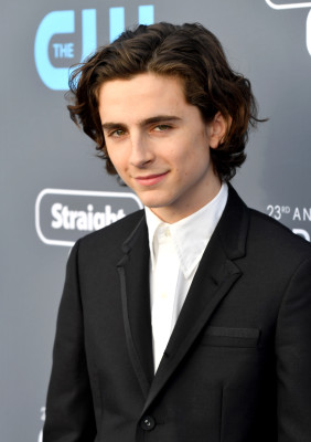 Timothée Chalamet - 23rd Annual Critics&#039; Choice Awards in Santa Monica 01/11/18