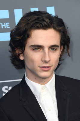 Timothée Chalamet - 23rd Annual Critics&#039; Choice Awards in Santa Monica 01/11/18
