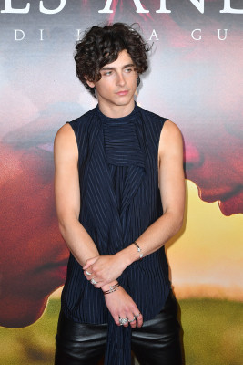 Timothée Chalamet - &#039;Bones and All&#039; Milan Photocall 11/12/2022