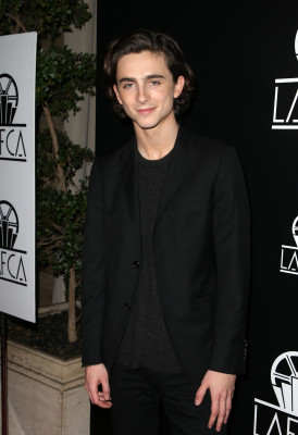 Timothée Chalamet - 43rd Annual LA Film Critics Association Awards 01/13/2018