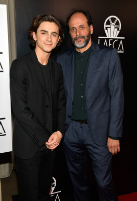 Timothée Chalamet - 43rd Annual LA Film Critics Association Awards 01/13/2018